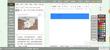 135微信编辑器官方版下载 | v2.0免费电脑版安装与体验指南
